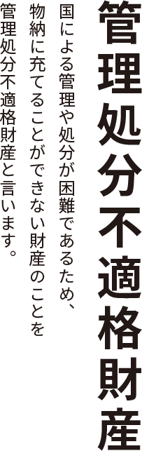 管理処分不適格財産